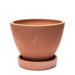 Terracotta Herb Pot And Saucer - Large -Perennials Sales pr2000046523 card3 lg
