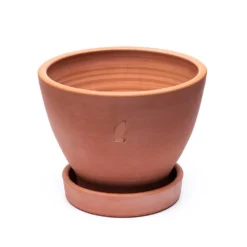 Terracotta Herb Pot And Saucer - Large -Perennials Sales pr2000046523 card4 lg