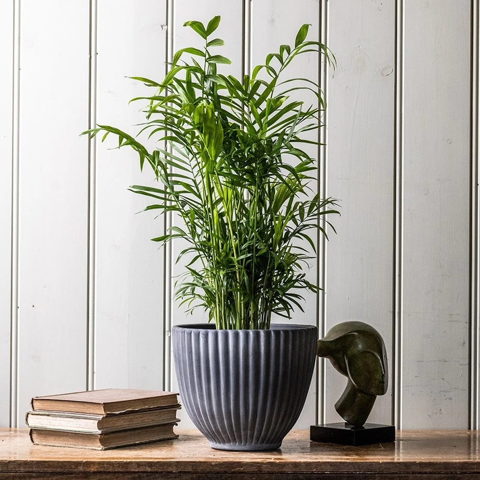 Ribbed Terracotta Plant Pot - Dark Grey 1 Ribbed Terracotta Plant Pot - Dark Grey