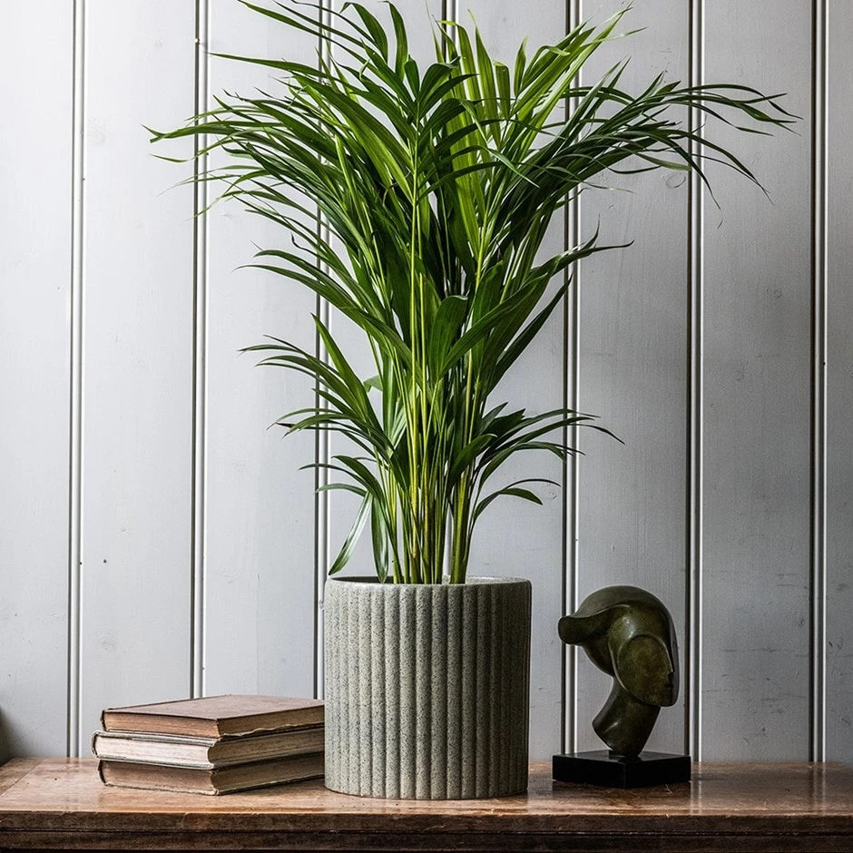 Stone Ribbed Speckle Plant Pot - Green 1 Stone Ribbed Speckle Plant Pot - Green