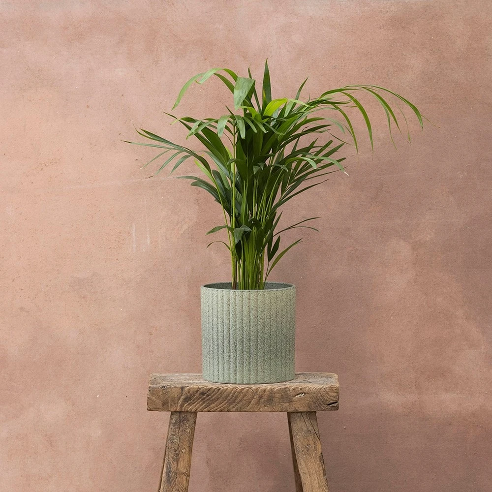 Stone Ribbed Speckle Plant Pot - Green 2 Stone Ribbed Speckle Plant Pot - Green - Image 2