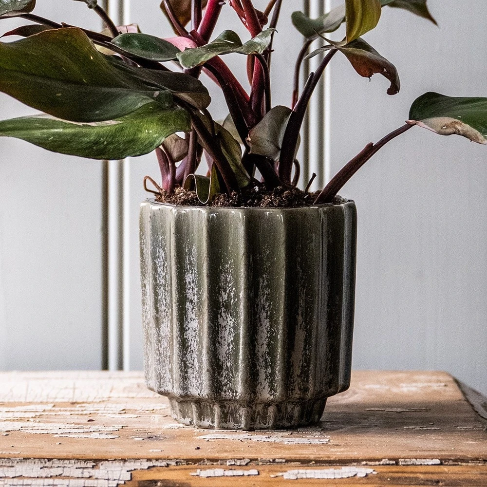 Scalloped Reactive Plant Pot - Green 3 Scalloped Reactive Plant Pot - Green - Image 3