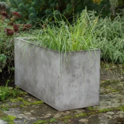 Rectangular Terrace Planter - Weathered Cement 9 Rectangular Terrace Planter - Weathered Cement -Perennials Sales pr2000048710 card4 lg