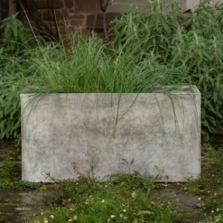 Rectangular Terrace Planter - Weathered Cream 12 Rectangular Terrace Planter - Weathered Cream -Perennials Sales pr2000048714 card3 lg