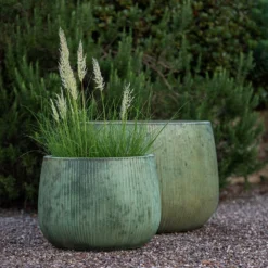 Ripple Bowl Planter - Verdigris 17 Ripple Bowl Planter - Verdigris -Perennials Sales pr2000048717 card8 lg