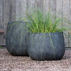 Ripple Bowl Planter - Ash Grey 10 Ripple Bowl Planter - Ash Grey -Perennials Sales pr2000048719 card3 lg