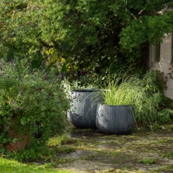 Ripple Bowl Planter - Ash Grey 15 Ripple Bowl Planter - Ash Grey -Perennials Sales pr2000048719 card8 lg