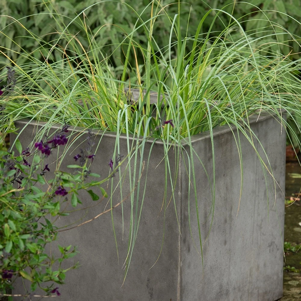Square Terrace Planter - Weathered Cement 2 Square Terrace Planter - Weathered Cement - Image 2